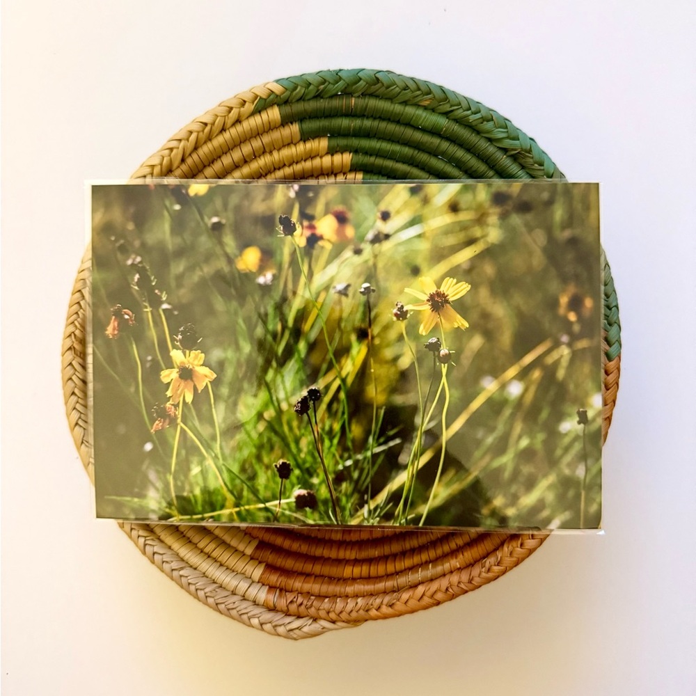 4x6 Floral Print Yellow Flowers